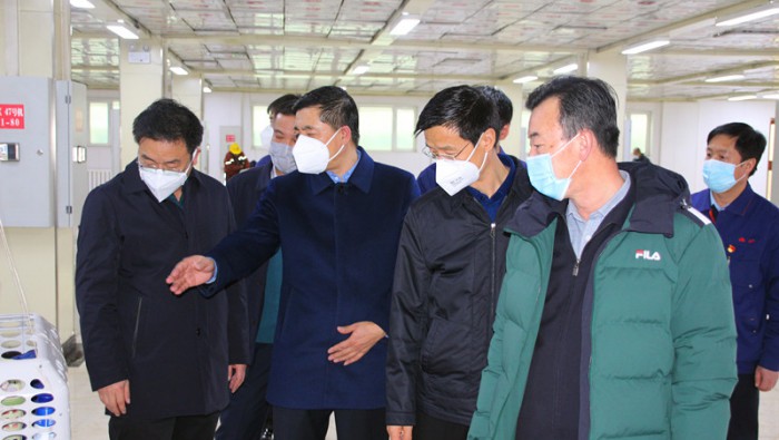 ��������븴������˫�ƽ�